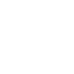 speedometer icon